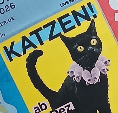 Real Newspaper showing Cats Governance